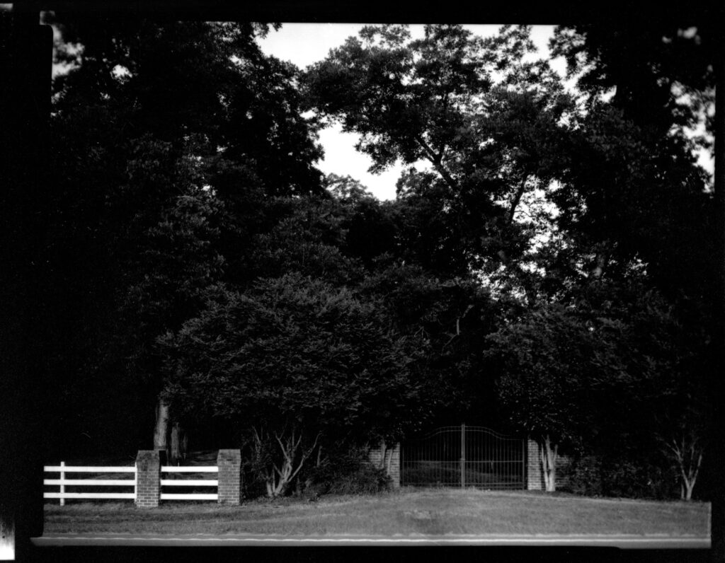 Black and White photograph of an iron gate to a Georgian pecan grove.