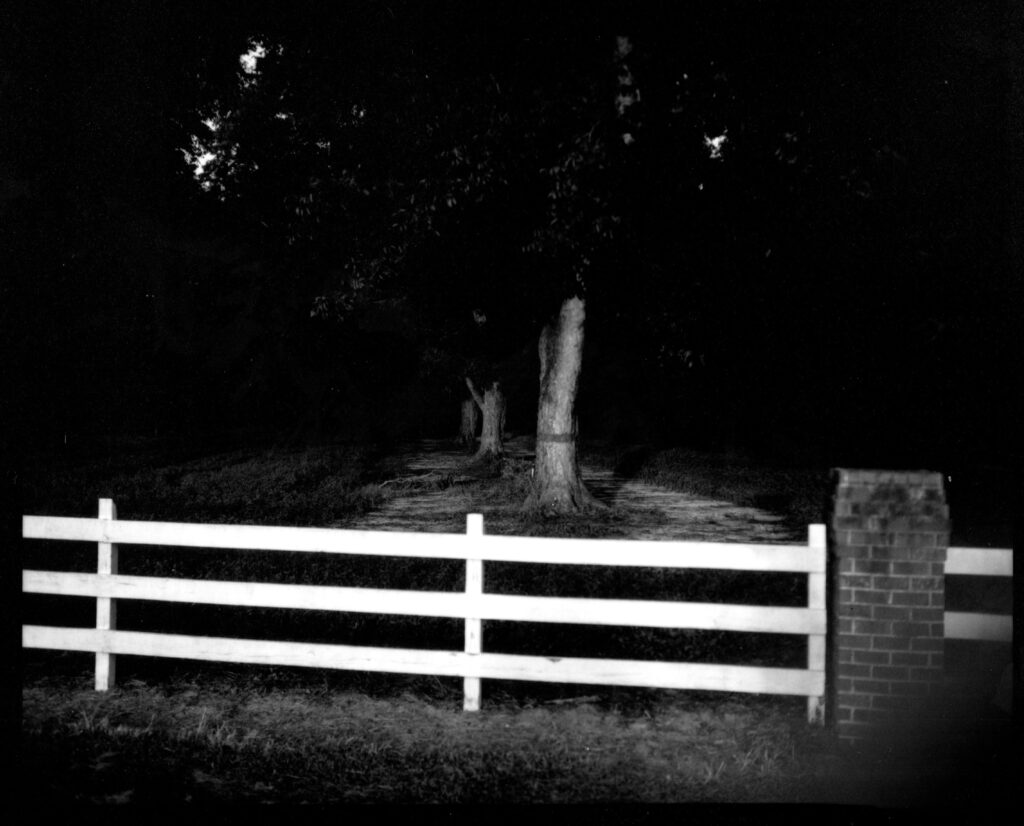 Black and white photograph of a white fence, brick pillar and pecan tree trunks.